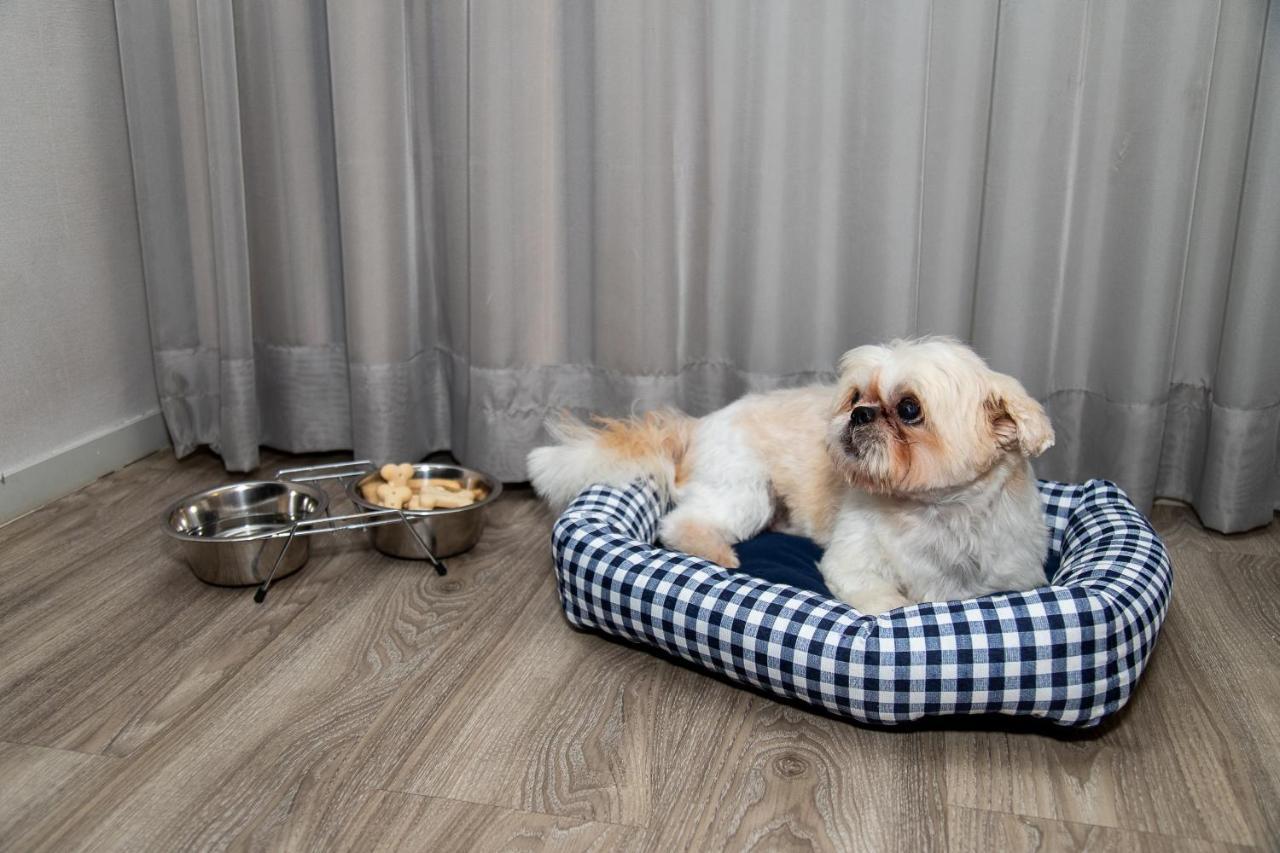 Radisson Rio De Janeiro Barra Hotel Ngoại thất bức ảnh A dog in a dog bed